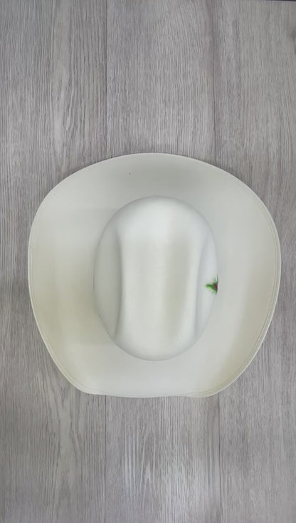 Chaparral Sombrero Lona 10X